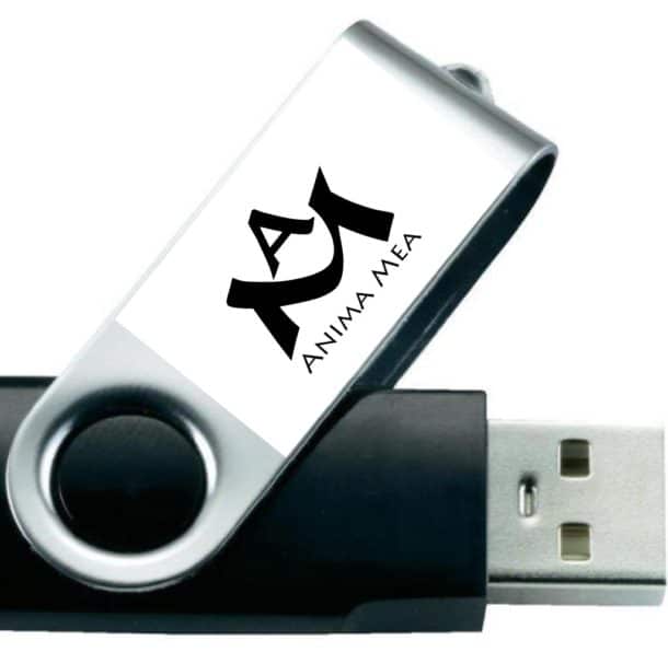 APsychosomatik Scheidegg - Alle Folgen auf USB-Stick